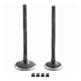 Swan Emme Egzoz Sübap Takımı Cf Moto Nk 150