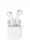 Dokunmatik Kulak içi Bluetooth Kulaklık V5.3 Geliştirilmiş Üstün Performanslı Kulaklık IL2