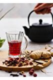 Lav venüs kulplu çay bardak - 12 li kulplu çay bardağı cam fincan