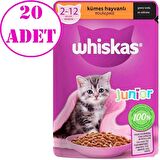 Whiskas Junior Tavuklu Yaş Mama 85 Gr 20 AD
