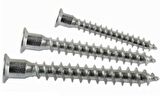 AKDENİZ Kabin Vidası-Kutulu 6,3X50mm 100 Adet