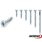 Akdeniz Sunta Vidası 6,0X120 Çinko 5 Paket 500 Adet