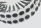 Duraspın Vida 3,5X50mm Seyrek Diş Sivri Uç 5 Paket 5000 Adet