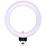 18 Inch Ring Light 84 Watt