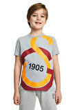 Galatasaray Büyük Logolu Çocuk Tee Gri T-shirt
