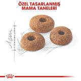 Royal Canin Fit 32 Yetişkin Kedi Maması 2 kg