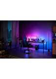 Philips Hue Play 32-34" PC Gradient Lightstrip Şerit