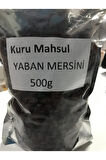 Yaban Mersini Kurusu Cranberry 500g