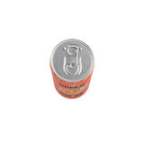 ODDLY PEACHROOI SOĞUK ÇAY KUTU ŞEFTALİ ROOIBOS - 0 ŞEKER & 0 KALORİ 250 ML X 24 ADET