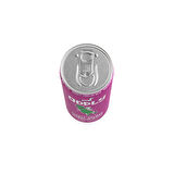 ODDLY PICKLE SPLASH TURŞU SUYU KUTU 250 ML X 24 ADET