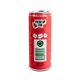ODDLY MINTY MELON KARPUZ NANE KUTU 250 ML X 24 ADET