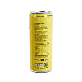 ODDLY PINEAPPLE SHINE ANANAS MANGO KUTU 250 ML X 24 ADET