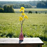 T.Concept Dallı Sarı Kırçiçeği Hanghuı-004 