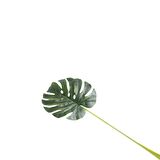 T.Concept Dekoratif Gerçekçi Yapay Palm Yaprağı 75 cm A10269-09