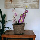 T.Concept Dekoratif Yuvarlak Çok Amaçlı Rattan Sepet Orta Boy