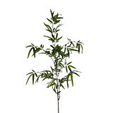 T.Concept Dekoratif Yapay Bambu Dal 160 cm 1 Adet