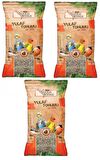 Gold Wings Yulaf Kuş Yemi 300 Gr (3 ADET)