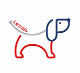 LACİEL ERKEK ÇOCUK BİSİKLET YAKA PAMUK KÖPEK DESENLİ ŞORTLU TAKIM