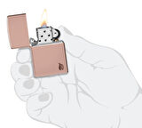 Zippo 49504 Armor Series Flame Çakmak