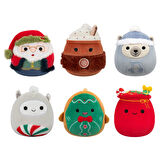 Squishmallows Sürpriz Kutu 10cm XM01046