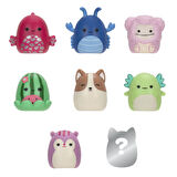 Squishmallows Squish-a-longs 8 Figür + Yüzük Set Seri 2 AL0065