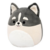 Squishmallows Pomsky Paolo 30cm CR07961