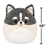 Squishmallows Pomsky Paolo 30cm CR07961