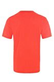 The Northface Erkek REAXION AMP CREW NF0A3RX3ZB41