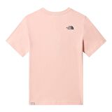 G S/S EASY RELAXED Tişört NF0A55DBUBF1