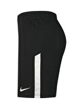 Nike BV6852-010 M Nk Dry Lge Knit Iı Short Nb Erkek Şort