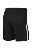 Nike BV6852-010 M Nk Dry Lge Knit Iı Short Nb Erkek Şort