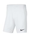 Nike Dri-FIT Park III Erkek Şort