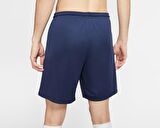 Nike Dri-FIT Park III Erkek Şort