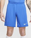 Nike Dri-FIT Park III Erkek Şort