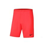Nike Dri-FIT Park III Erkek Şort