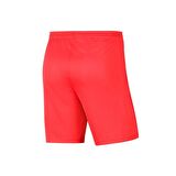 Nike Dri-FIT Park III Erkek Şort