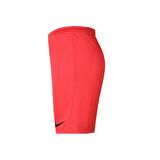 Nike Dri-FIT Park III Erkek Şort