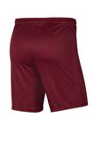 Nike Dri-FIT Park III Erkek Şort