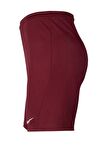 Nike Dri-FIT Park III Erkek Şort