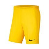 Nike Park III Erkek Şort BV6855-719 BV6855-719006