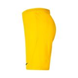 Nike Park III Erkek Şort BV6855-719 BV6855-719006