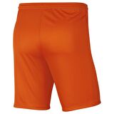 Nike M Nk Dry Park Iıı Short NB K Erkek Şort