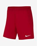 Nike Dri-FIT Park III Kadın Şort
