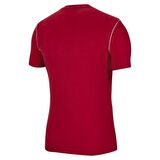 Nike Dry Park Erkek Kırmızı Futbol Tişört BV6883-657