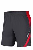 Nike M DRY ACDPR SHORT KP Erkek Şort BV6924-062