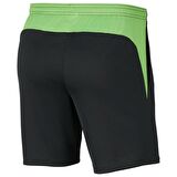 Nike BV6924-064 M Nk Df Acdpr Short Kp Erkek Şort