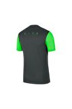 Nike M Dry ACDPR Top BV6926-074 Erkek Tişört