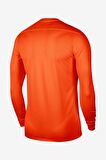 Nike M Park Vii Ls Jsy BV6706-819 Erkek Tişört