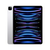 Apple iPad Pro 12.9 inç (6. Nesil) M2 Wi-Fi + Cellular 256GB MP213TU/A - Gümüş