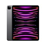 Apple iPad Pro 12.9 inç (6. Nesil) M2 Wi-Fi + Cellular 1TB MP243TU/A - Uzay Grisi